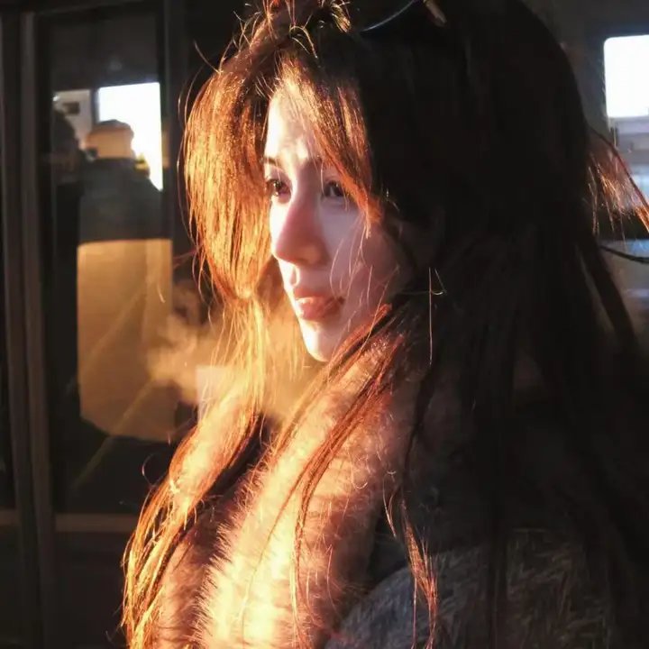 女贼金丝猫