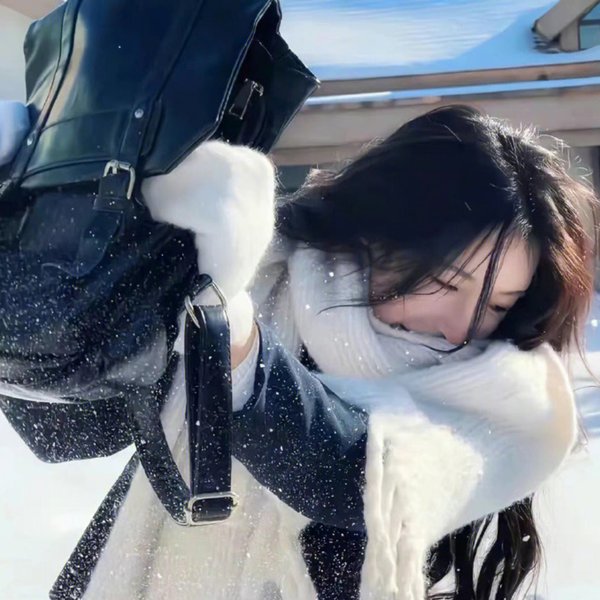 喀布尔的燕子